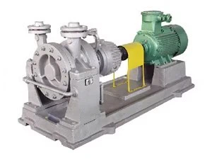 Apiq1 EAC CE Russian 012 Certification API610 Bb1 Bb2 Bb3 Bb5 Vs4 Oh1 Vs6 High Temperature Oil Chemical Process Centrifugal Vertical Self Priming Slurry Pump suppliers